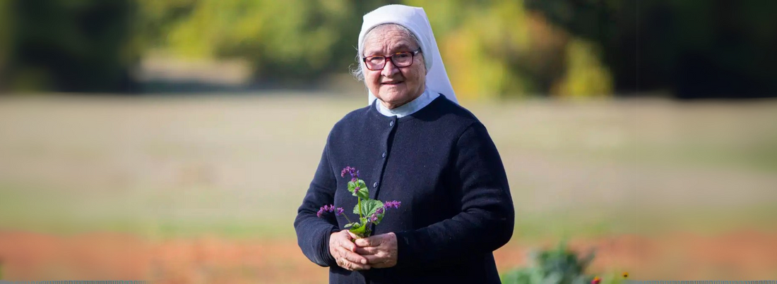 Bilje sestre Ljubice – Centro di Medicina Naturale