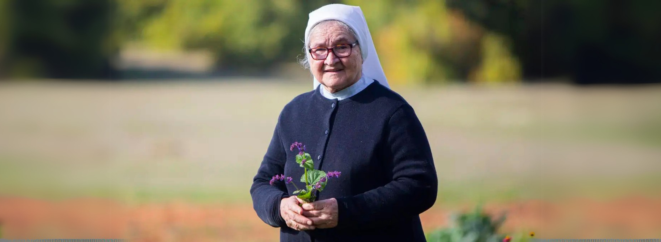 Bilje sestre Ljubice – Centro di Medicina Naturale